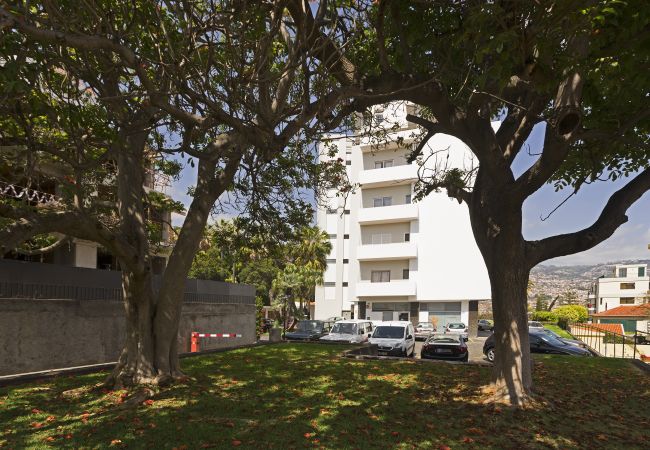 Apartamento em Funchal - Jasmineiro Apartment - By Wehost Apartamento em Funchal - Jasmineiro Apartment - By Wehost