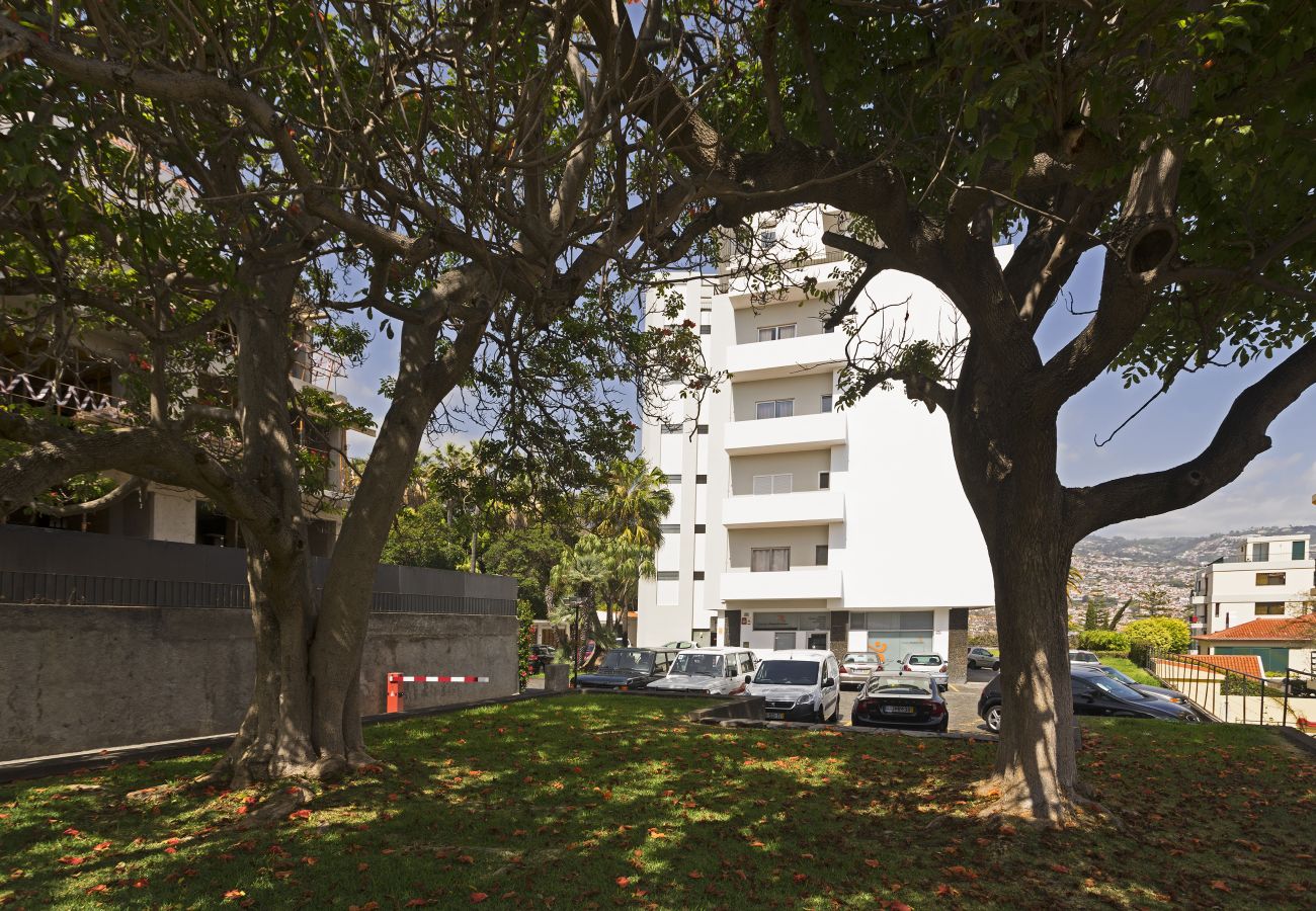 Apartamento em Funchal - Jasmineiro Apartment - By Wehost