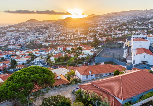 House in Funchal - Casa da Pinheira II - By Wehost House in Funchal - Casa da Pinheira II - By Wehost