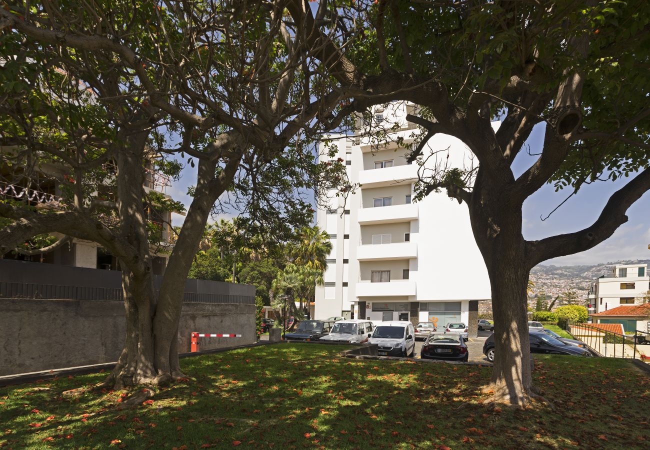 Apartment in Funchal - Jasmineiro Apartment - By WeHostMadeira