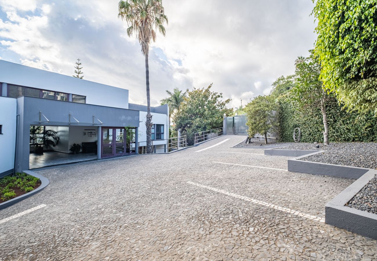 Villa in Funchal - Vila Crerital - By WeHostMadeira