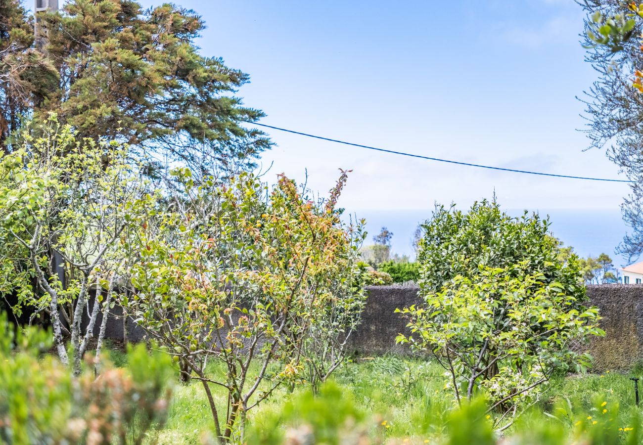 House in Porto Moniz - Sweet Orchard Escape - By WeHostMadeira