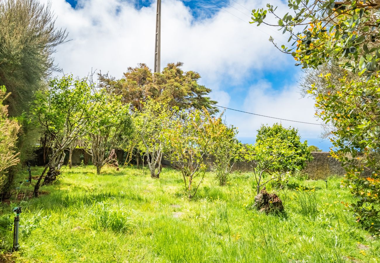 House in Porto Moniz - Sweet Orchard Escape - By WeHostMadeira